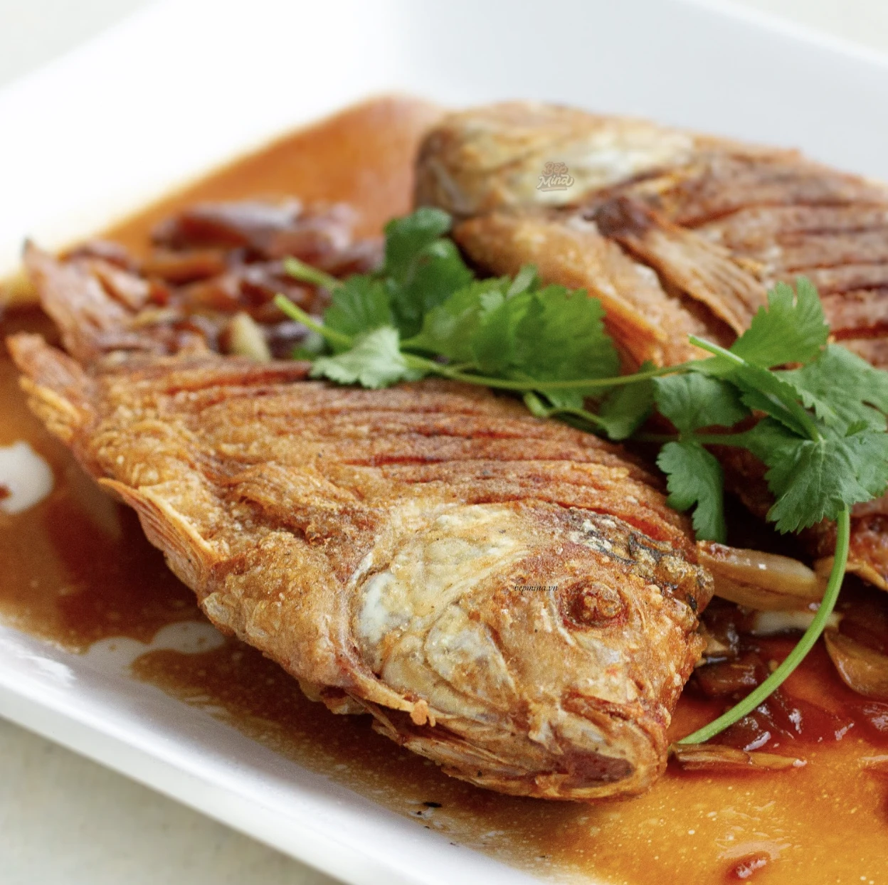 Fried Fish with Ginger Sauce